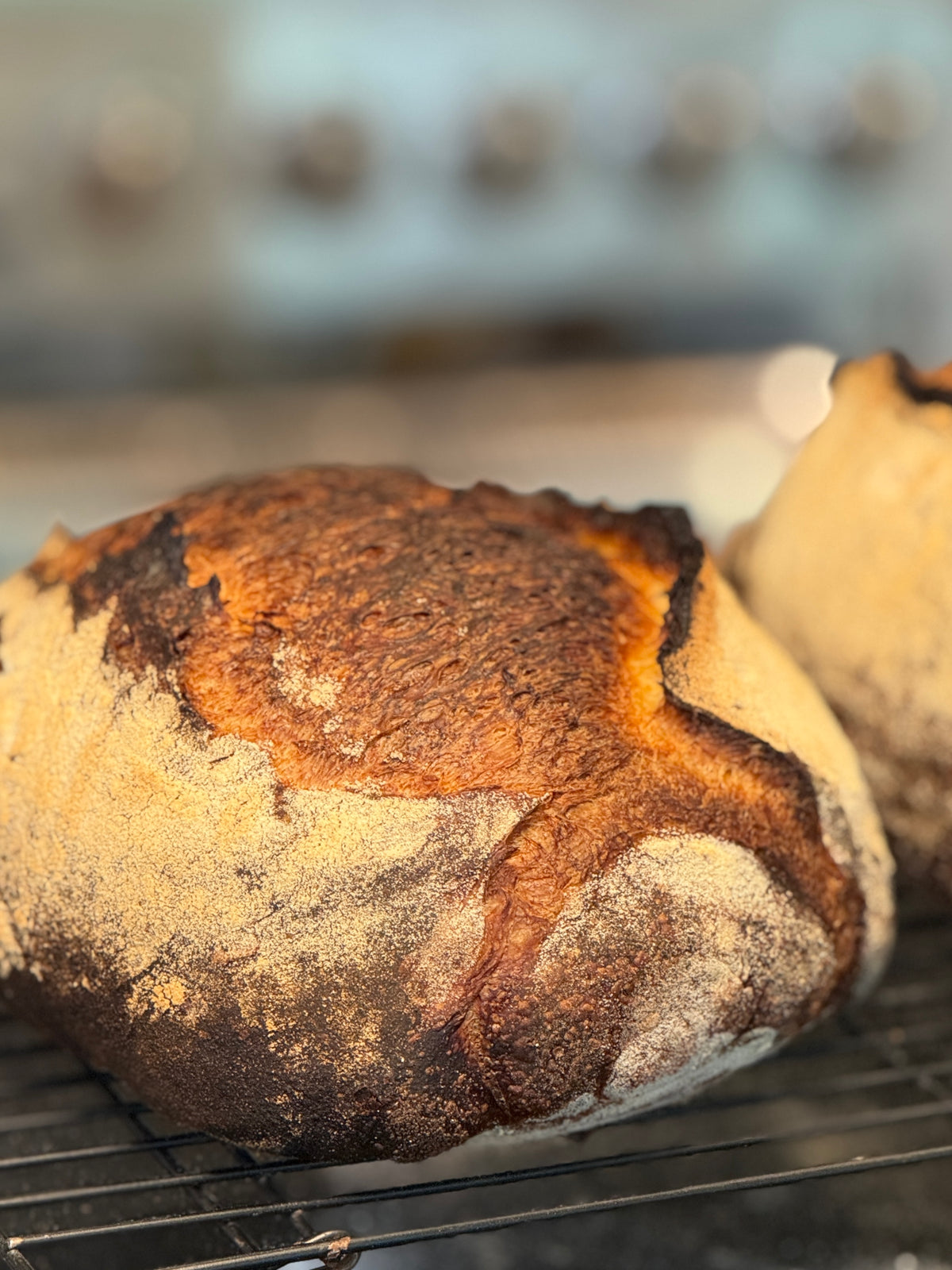 Hill Country RYE Sourdough Order Ahead for this Sunday