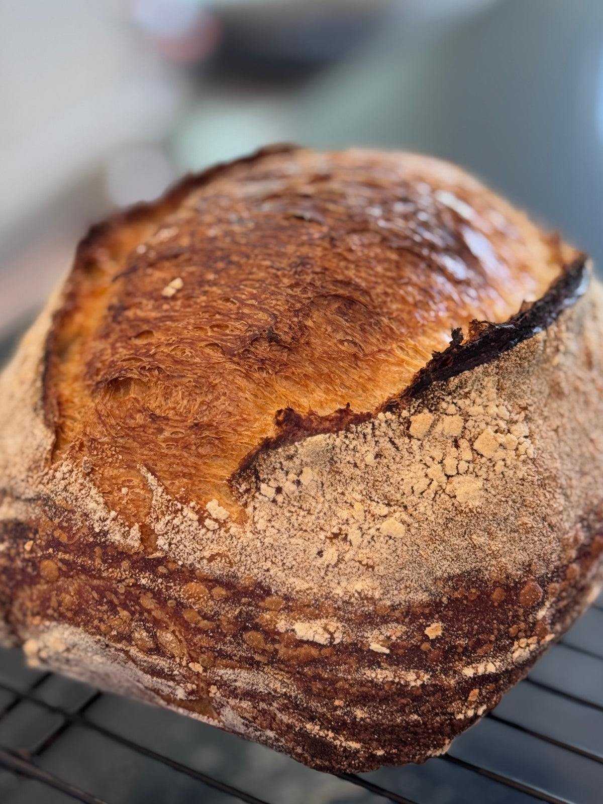 Hill Country RYE Sourdough Order Ahead for this Sunday